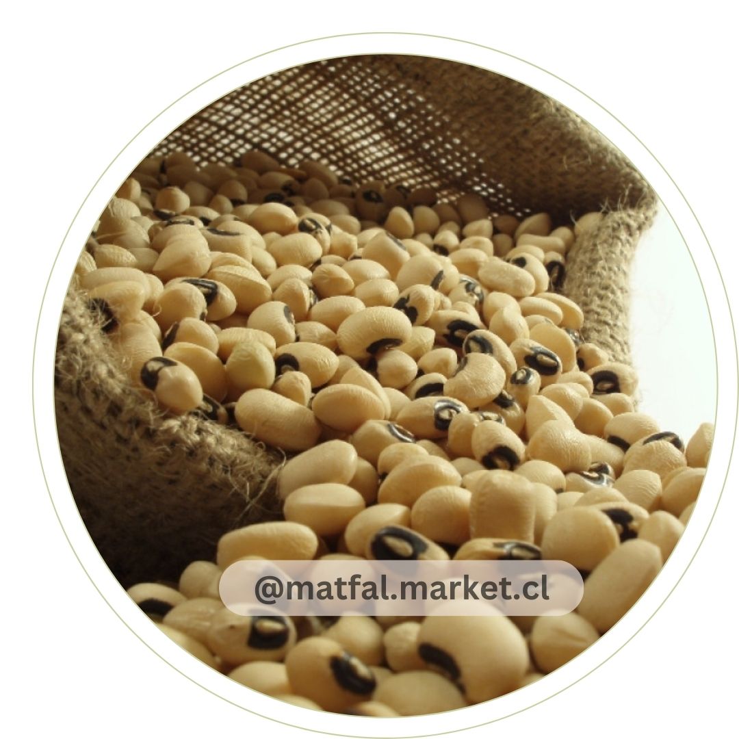 POROTO CASTILLA 1kg - Imagen 2