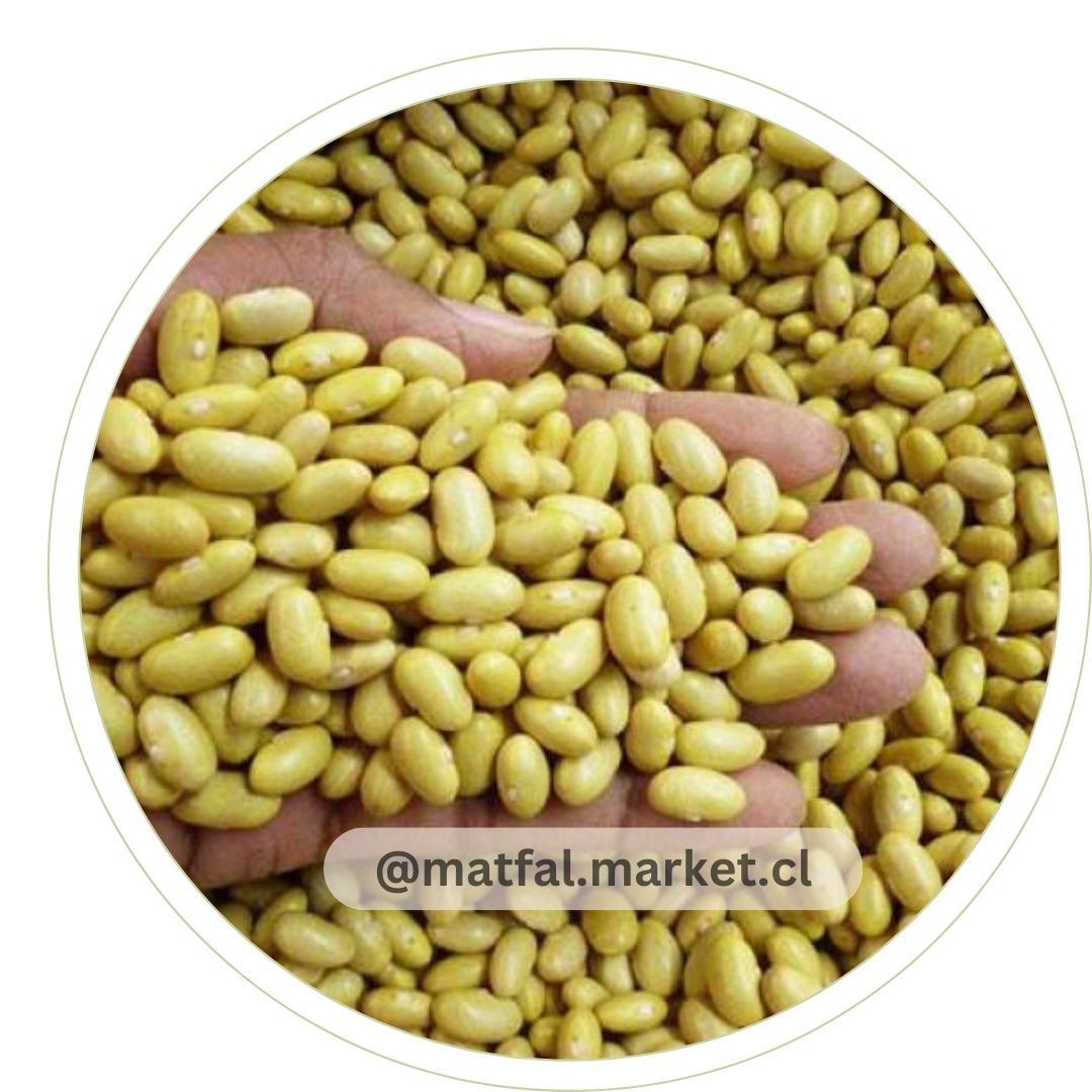 POROTO CANARIO 1kg - Imagen 2