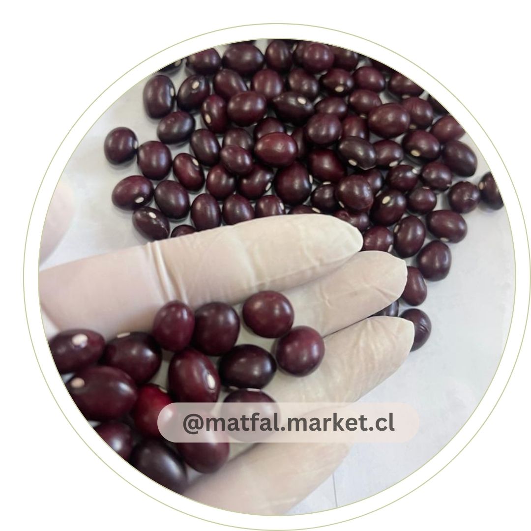 POROTO BOLA ROJA 1kg